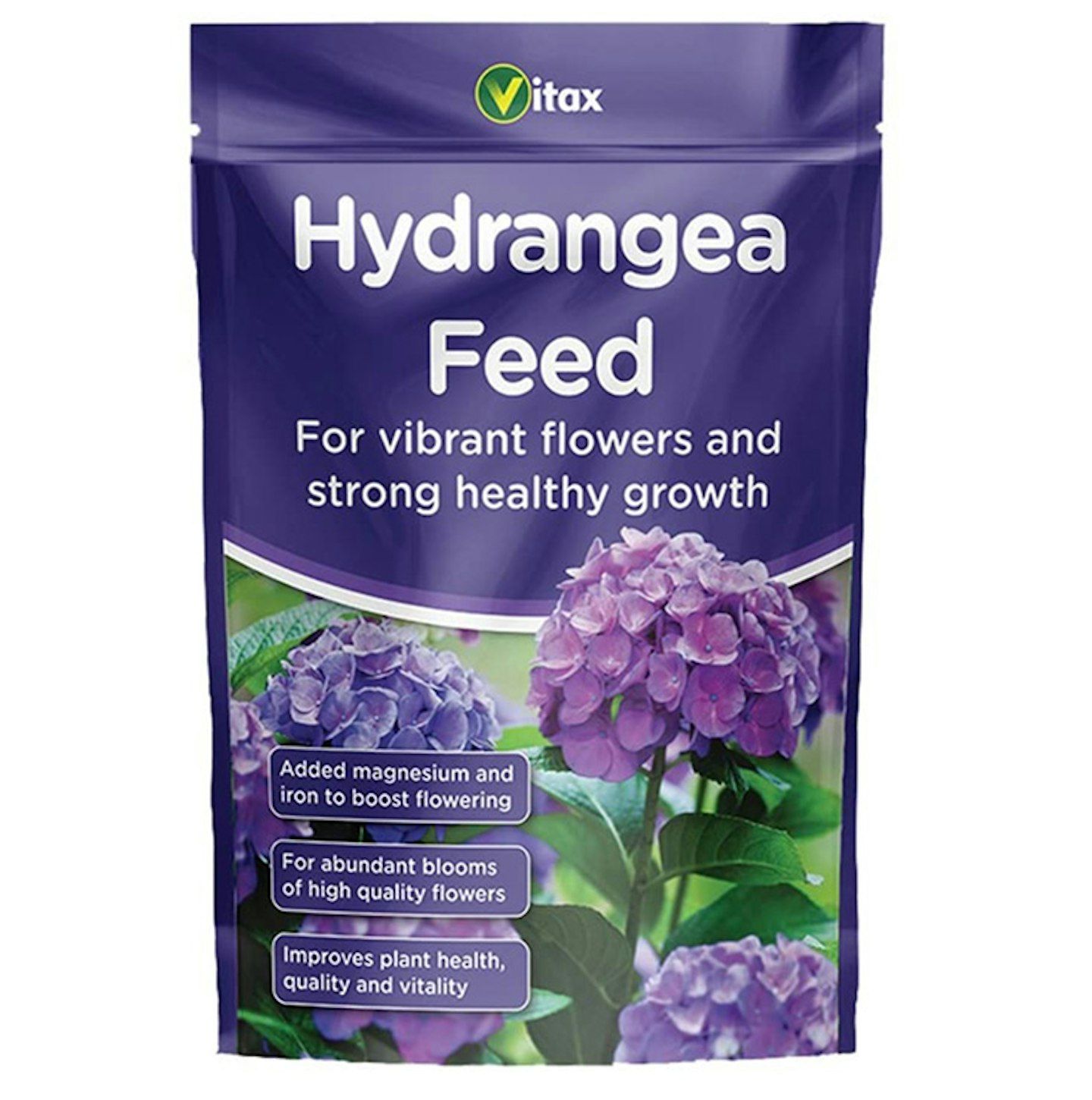How to grow and care for Hydrangeas this summer